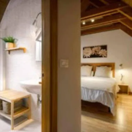 Daire Atico Anayet L Wifi L Vistas L Abuhardillado L Trastero Panticosa